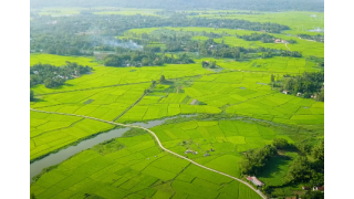 Sơn Mỹ - vùng đất tuyệt đẹp đi qua những đau thương